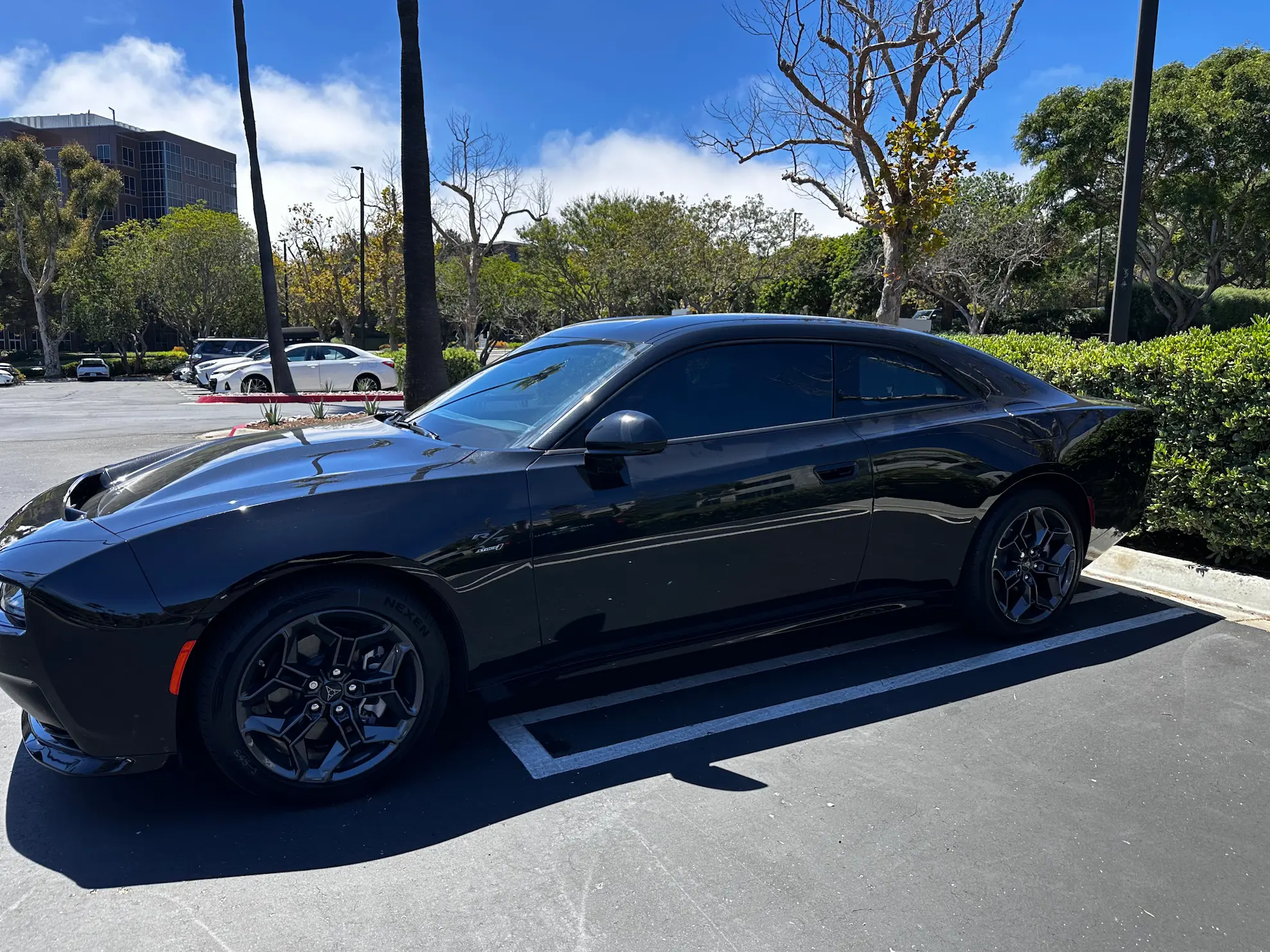 Window tinting San Diego